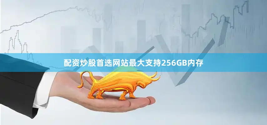 配资炒股首选网站最大支持256GB内存