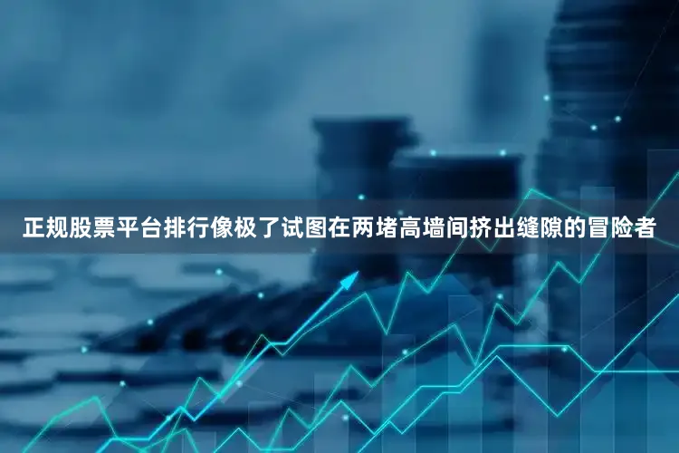 正规股票平台排行像极了试图在两堵高墙间挤出缝隙的冒险者