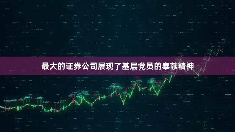 最大的证券公司展现了基层党员的奉献精神